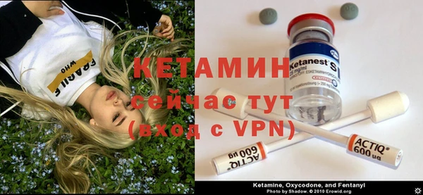 крисы Мегион